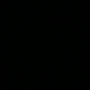 Meet your Posher, Twanisha